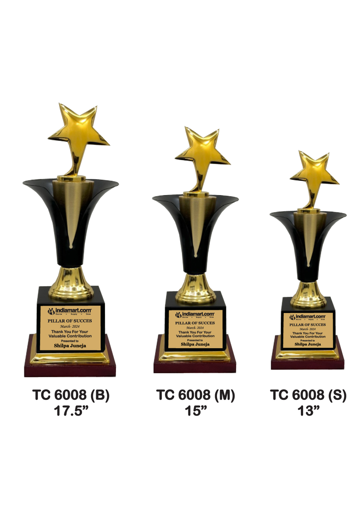 Metal Trophy Manufacturer in Hyderbad