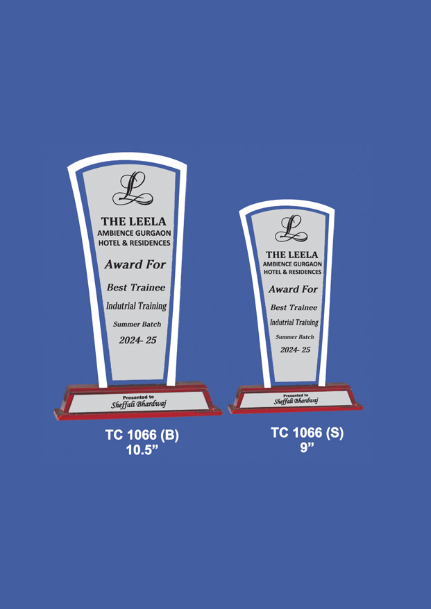 Acrylic Trophy Supplier in Mumbai  