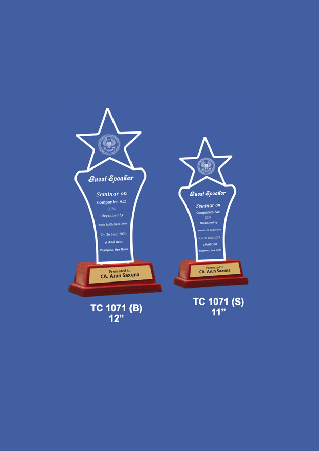 Acrylic Trophies maker for Corporates in Mumbai    