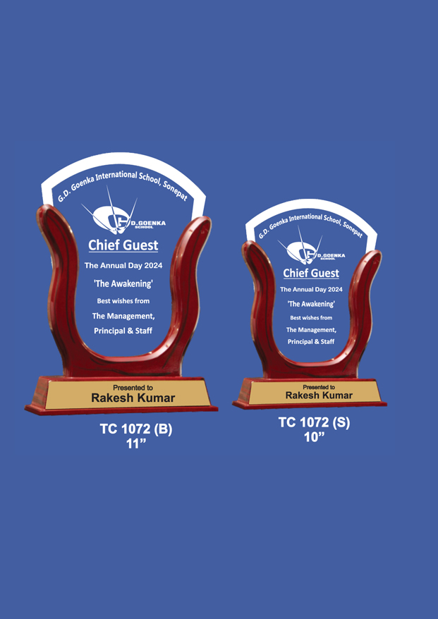 Acrylic Trophies maker for Military Awards