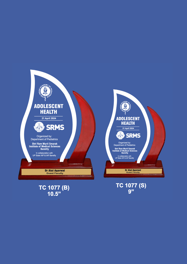 Acrylic Trophies maker for Military Awards  