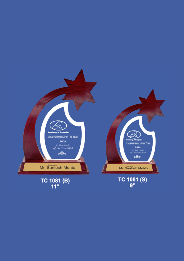 Acrylic Trophies supplier for corporates in Gurugram  