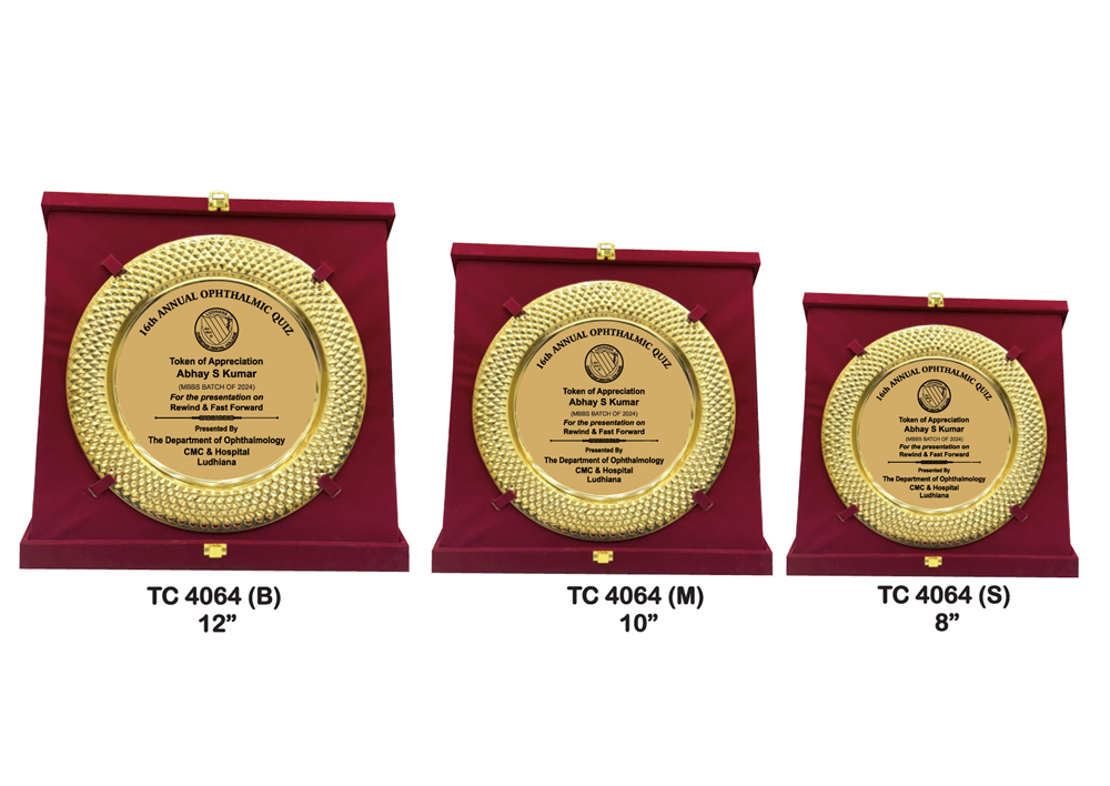 Shop for Corporate metal frame trophies in Mumbai