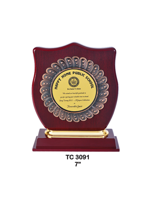 Plastic Frame Trophies Shop near me noida